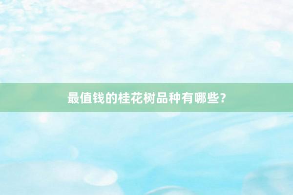 最值钱的桂花树品种有哪些？
