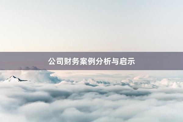 公司财务案例分析与启示